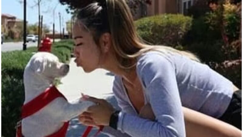 選手の妻が取り組んでいる活動を紹介するイメージ画像